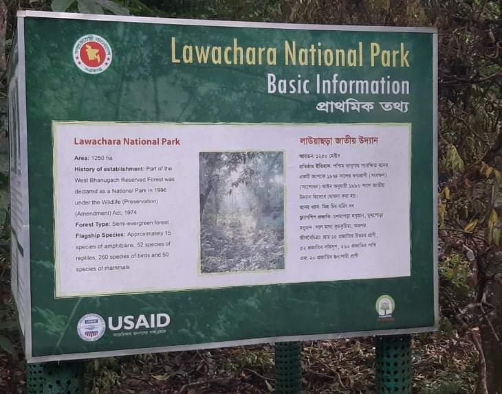 লাউয়াছড়া জাতীয় উদ্যান এর প্রেক্ষাপট ও জীববৈচিত্র্য