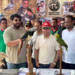 মৃত প্রাণীর জাদুঘর