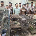 বন্যপ্রাণী অপরাধ দমন ইউনিটের অভিযানে ৪২টি বন্যপ্রাণী উদ্ধার ও একজন আটক