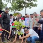 সারাদেশে লাগানো হবে ২৫ কোটি গাছ, উদ্বোধন করলেন প্রধানমন্ত্রী